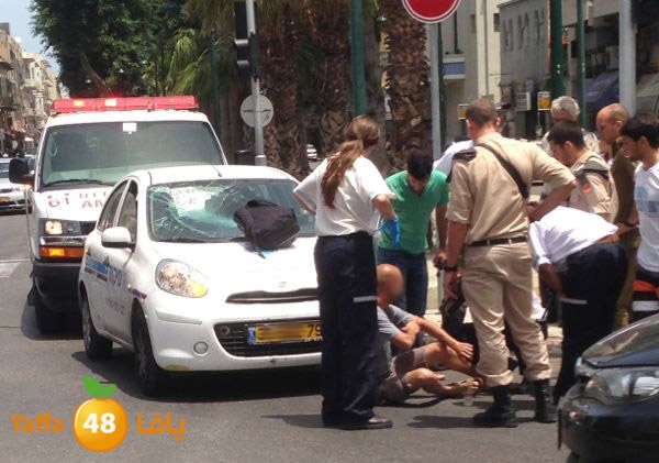 accnozha525nfeu (1).jpg